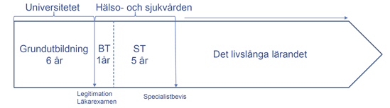 Tidslinje läkarutbildning