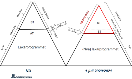 Gamla och nya läkarprogrammet jämförelse