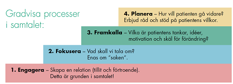 Fyra steg som visar gradvisa processer i samtalet: 1. Engagera 2. Fokusera 3. Framkalla 4. Planera